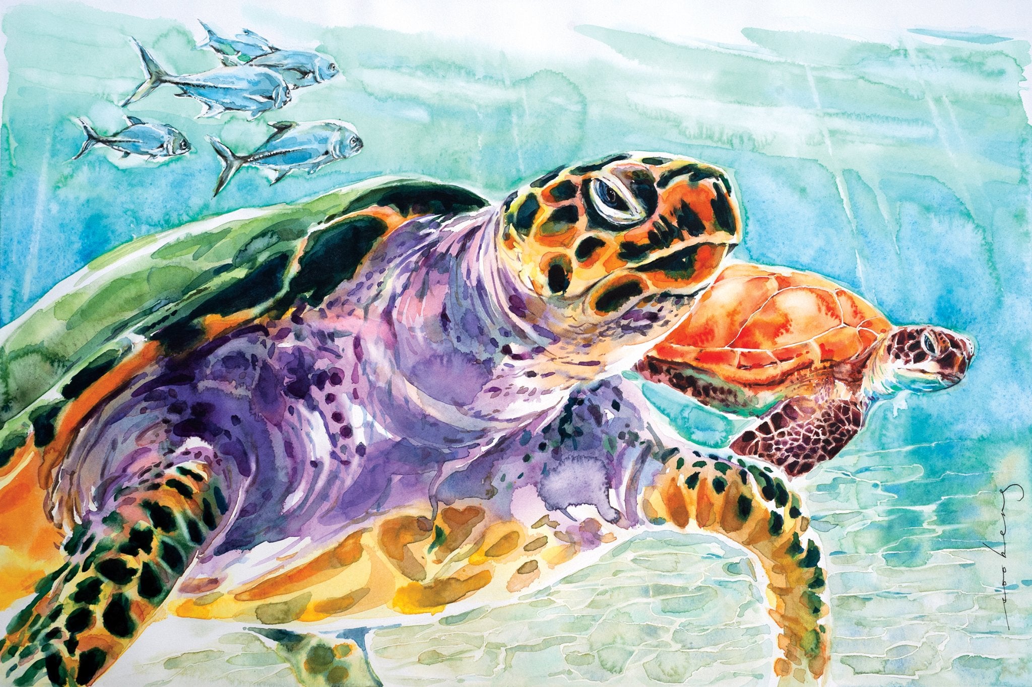 69164a62e1b8ea140711df10_leatherback2_1773880012477.jpg