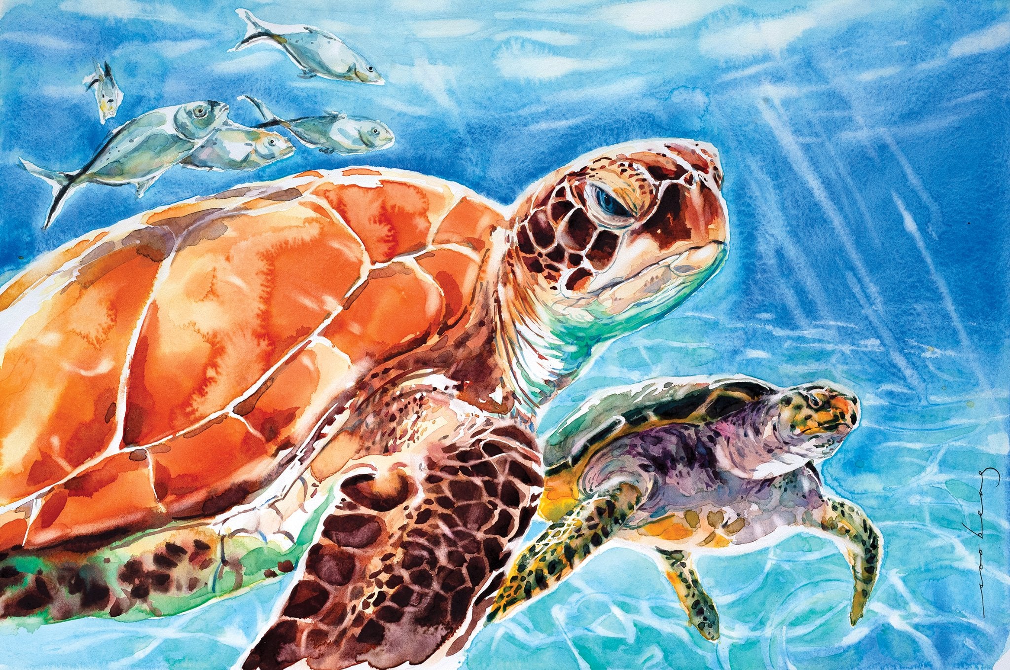 69164a62e1b8ea140711df10_leatherback_1773879858082.jpg