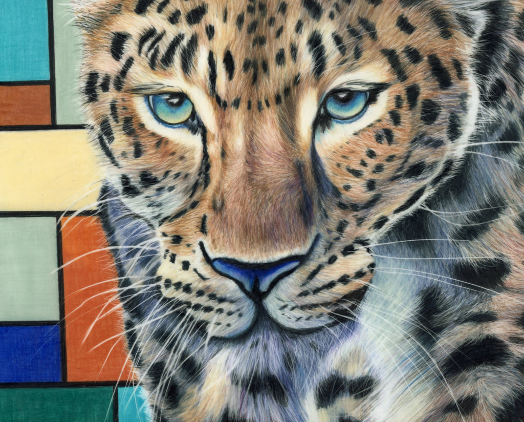 69164a62e1b8ea140711df10_leopard-squared-close-up_1791940610317.jpg