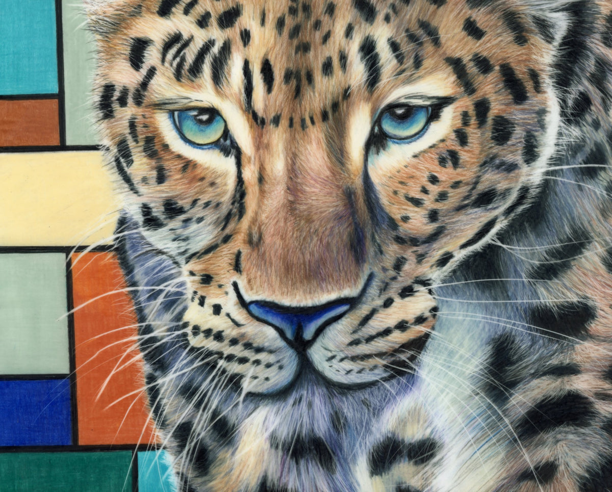 69164a62e1b8ea140711df10_leopard-squared-close-up_1791940610317.jpg
