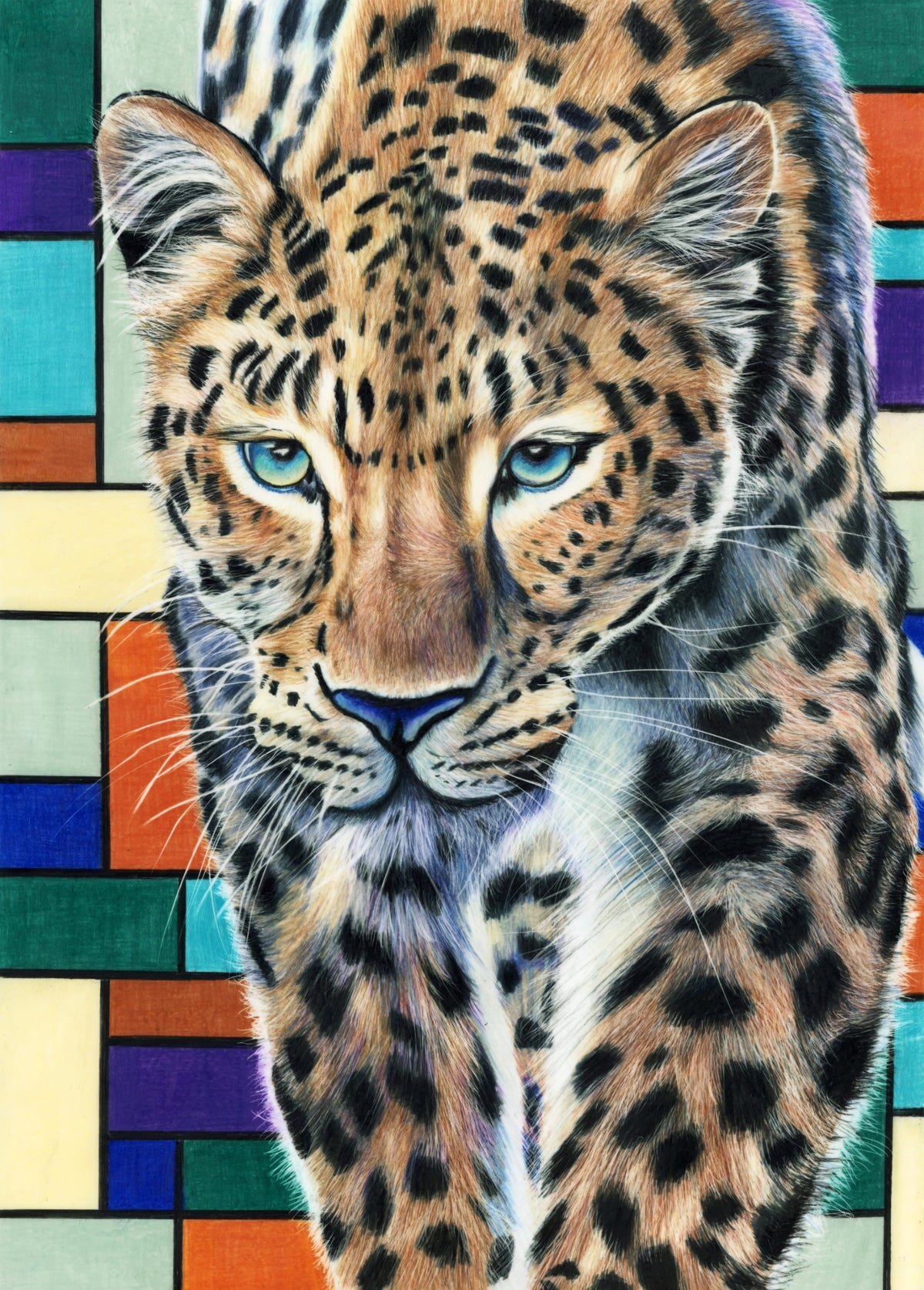 69164a62e1b8ea140711df10_leopard-squared_1791940610317.jpg