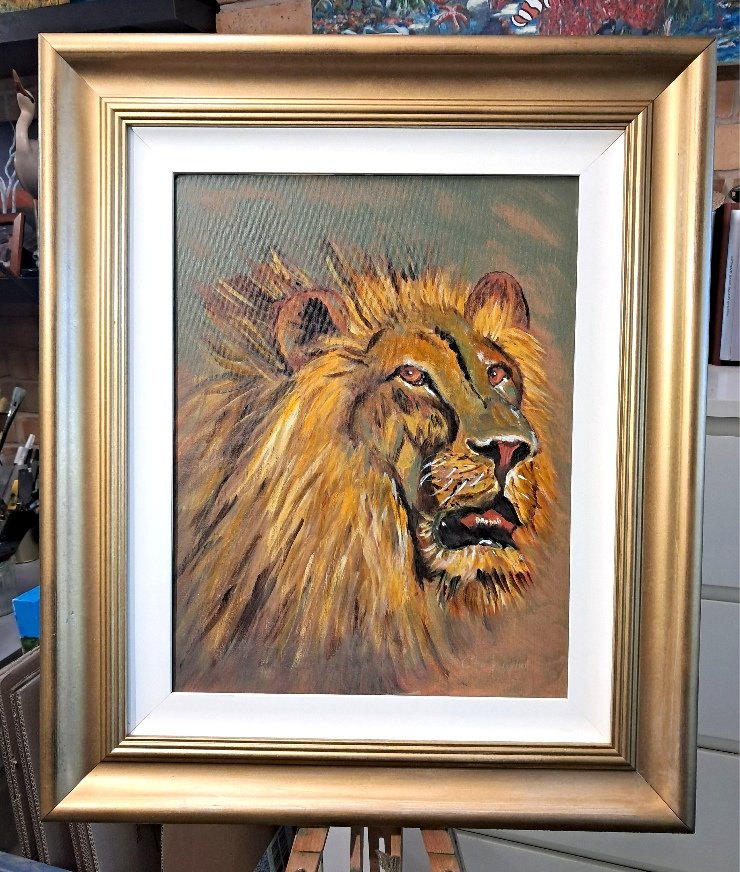 69164a62e1b8ea140711df10_lion-in-frame_1780636334396.jpg