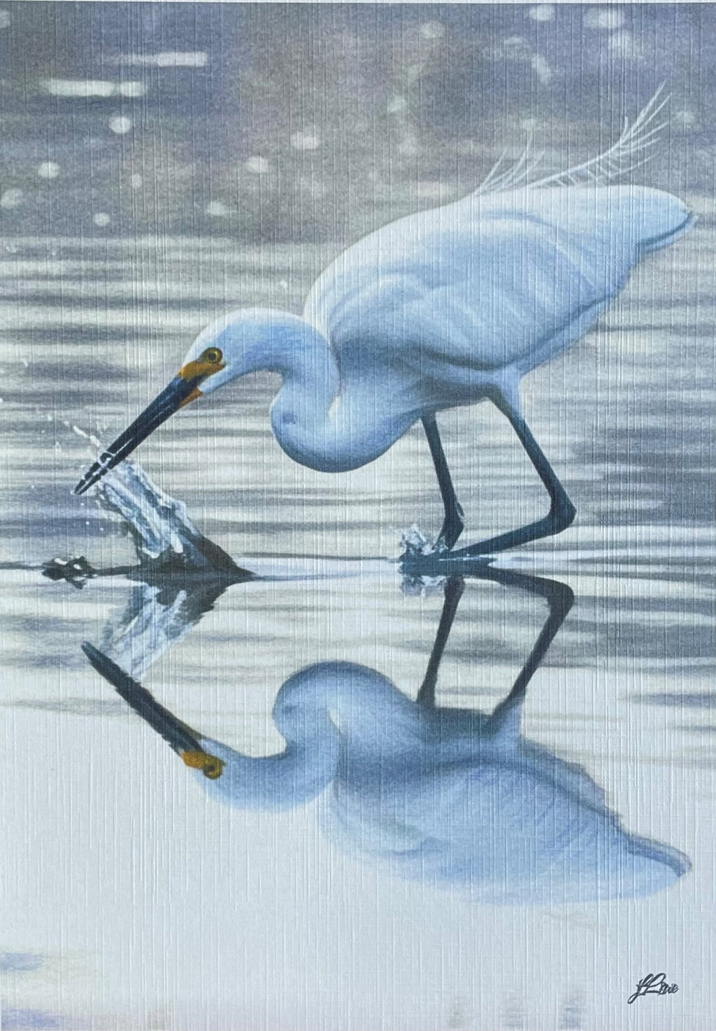 69164a62e1b8ea140711df10_little-egret-coahd-by-jflowe_1782179735419.jpeg