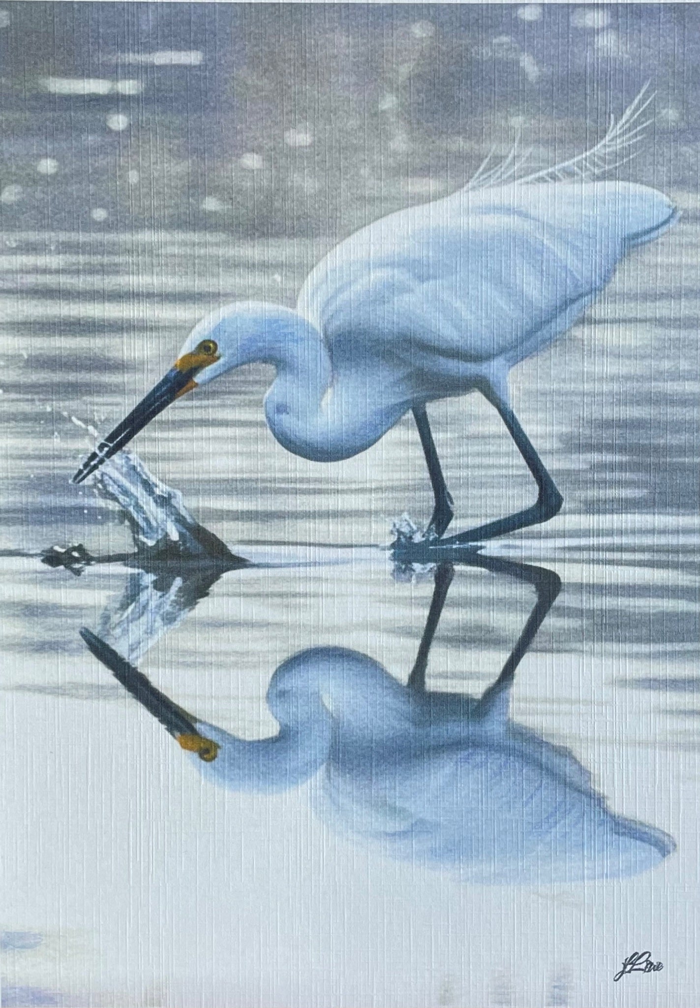 69164a62e1b8ea140711df10_little-egret-coahd-by-jflowe_1782179735419.jpeg