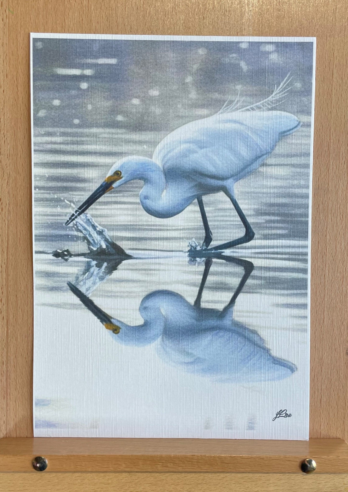 69164a62e1b8ea140711df10_little-egret-coahd-preview_1782179735416.jpeg