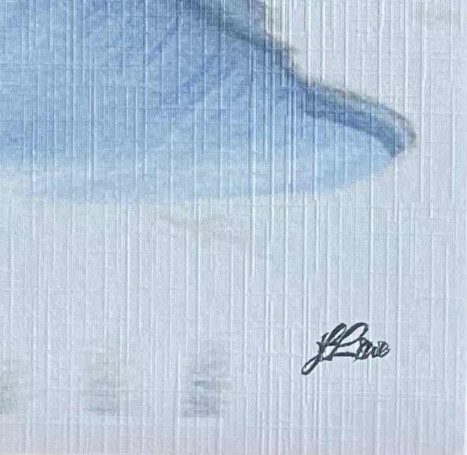 69164a62e1b8ea140711df10_little-egret-coahd-signed_1782179735418.jpeg