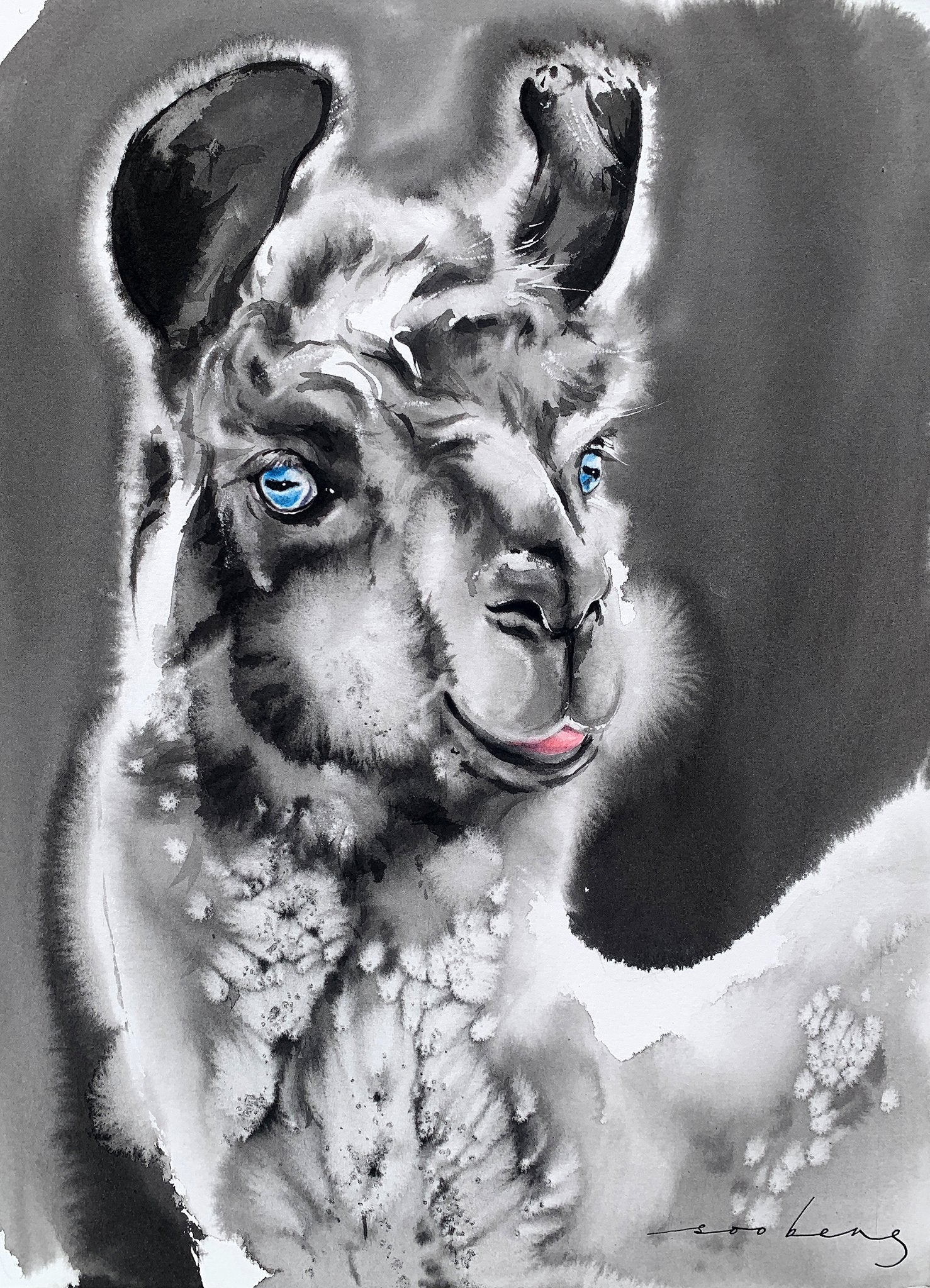 69164a62e1b8ea140711df10_llama-charm-copy_1773267211379.jpg