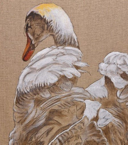 69164a62e1b8ea140711df10_lone-swan-crop_1784955659461.jpeg