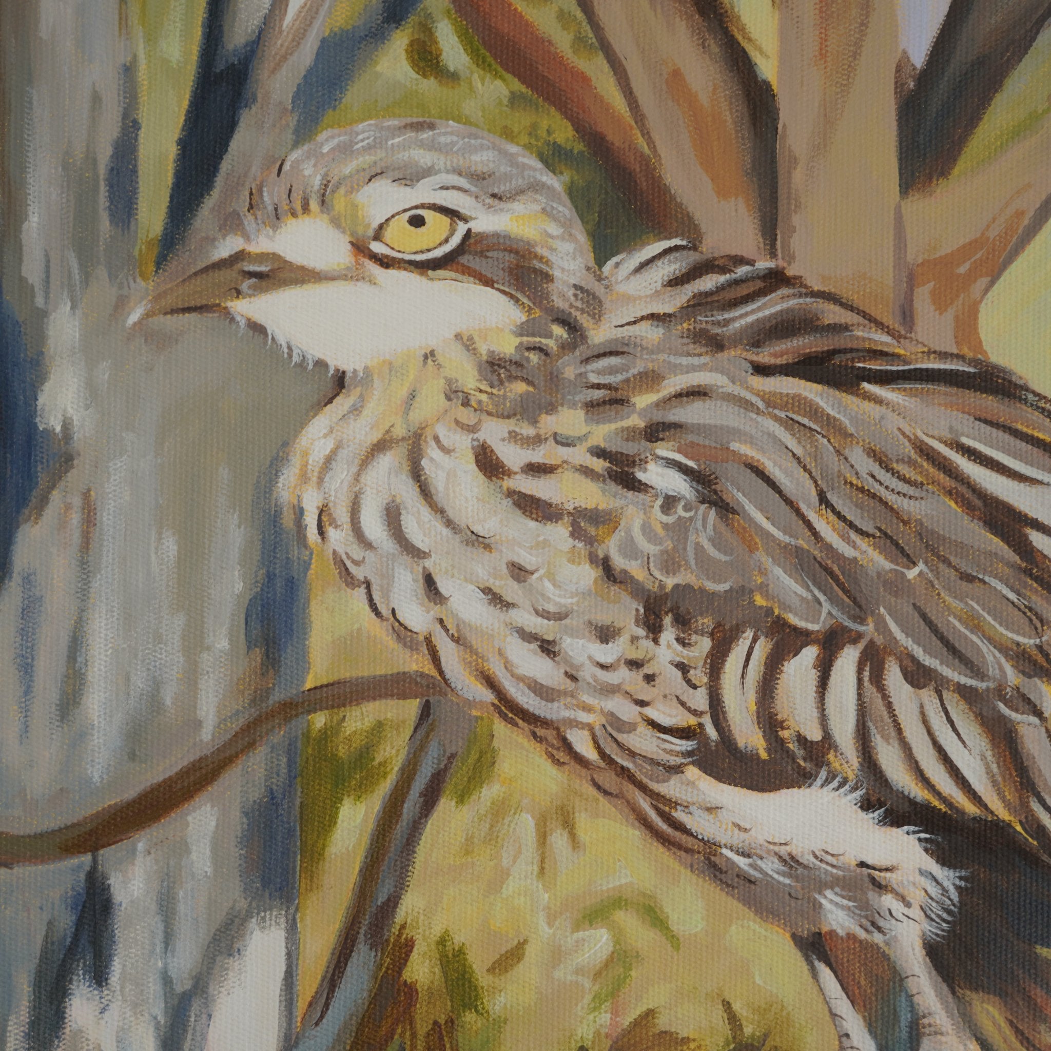 69164a62e1b8ea140711df10_looking-at-you-looking-at-me-detail-1-bird_1782776877929.jpg
