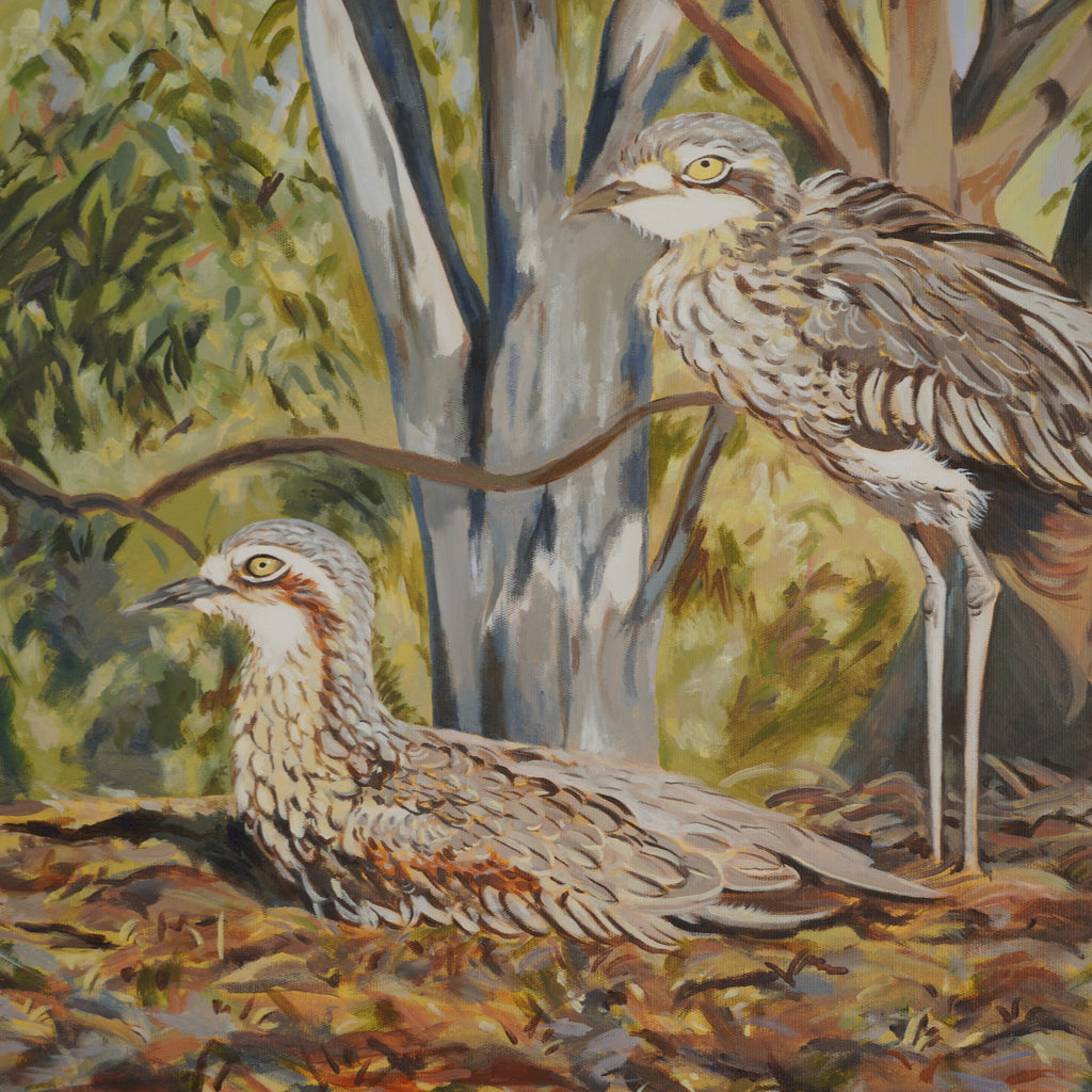 69164a62e1b8ea140711df10_looking-at-you-looking-at-me-detail-2-birds_1782776886835.jpg