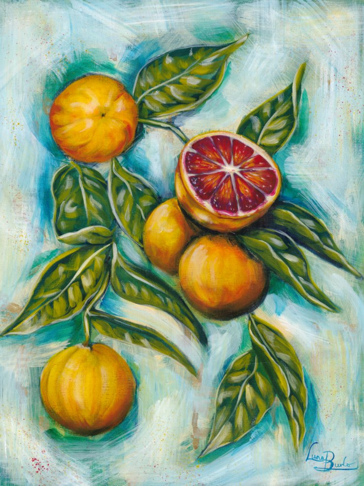 69164a62e1b8ea140711df10_lr-luna-burlo-blood-oranges-med_1784941403321.jpg