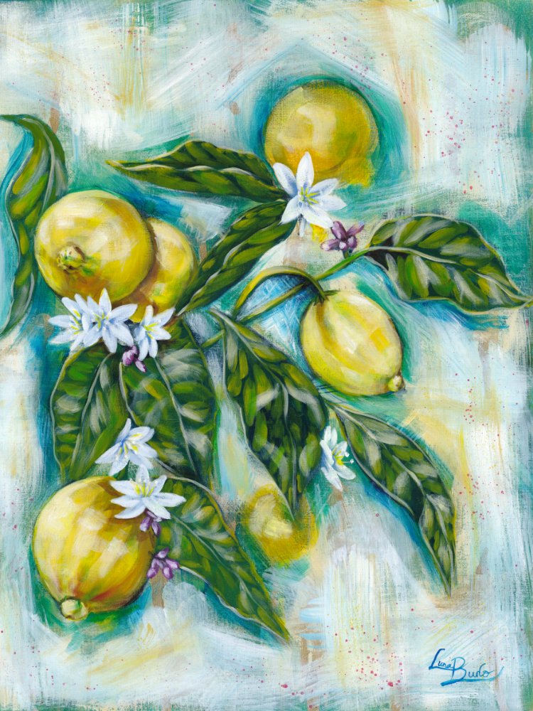 69164a62e1b8ea140711df10_lr-luna-burlo-lemons-med_1784942104885.jpg
