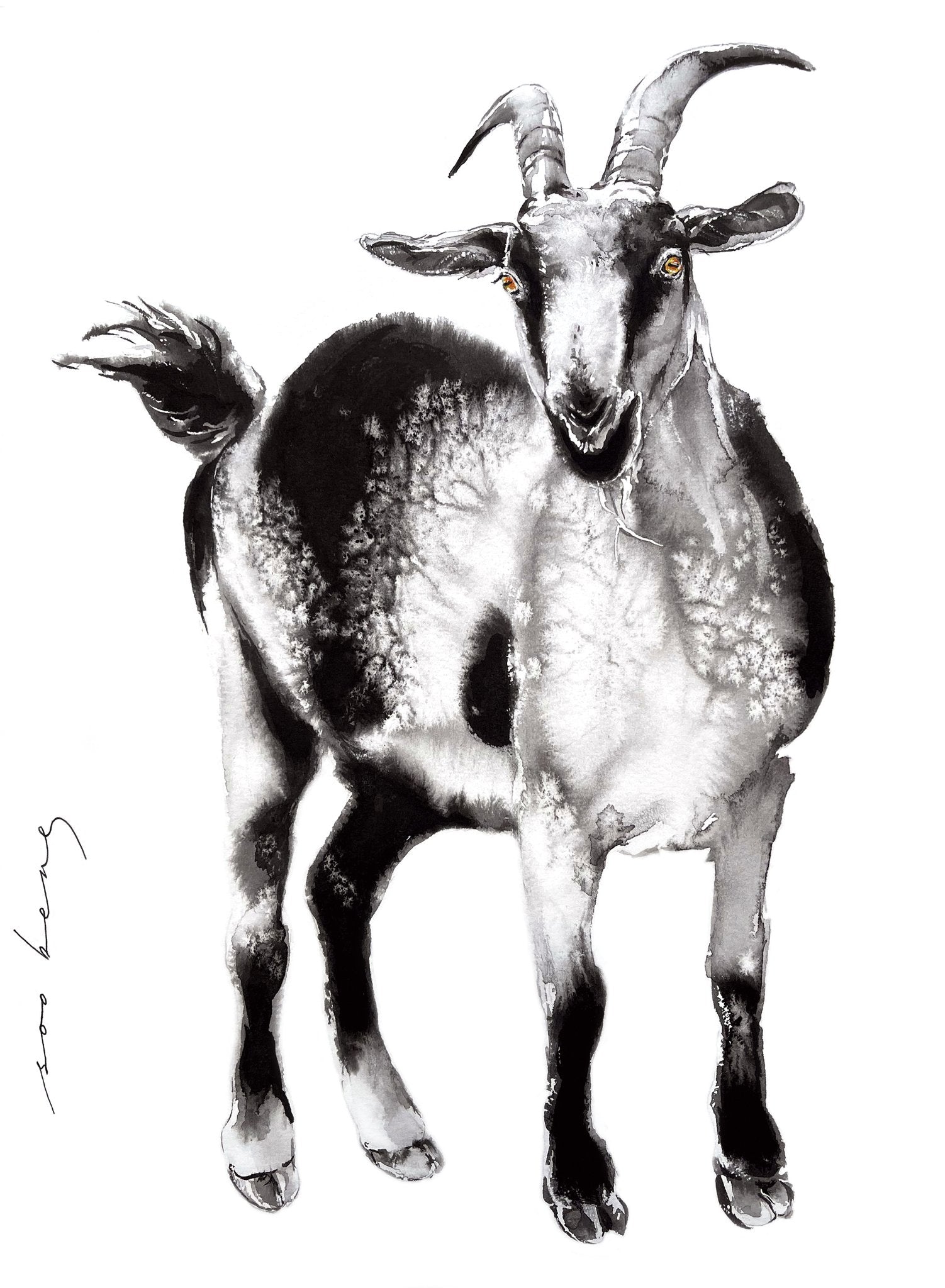 69164a62e1b8ea140711df10_lucky-horns_1778623530038.jpg