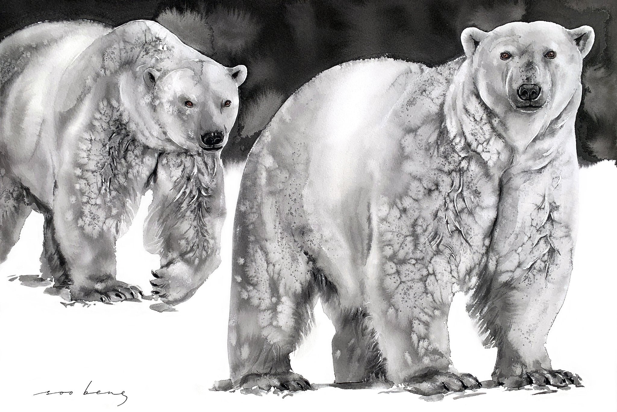 69164a62e1b8ea140711df10_majestic-companions-copy_1773147291920.jpg