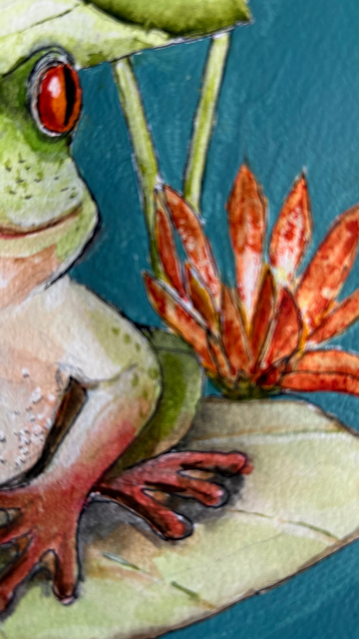 69164a62e1b8ea140711df10_mbj-564-happy-frog-detail_1789125372450.jpeg