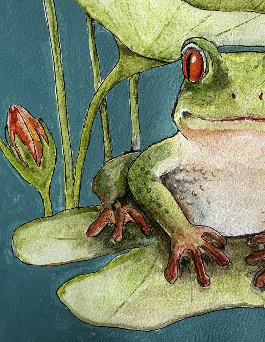 69164a62e1b8ea140711df10_mbj-564-happy-frog-detail_1789125388768.jpg