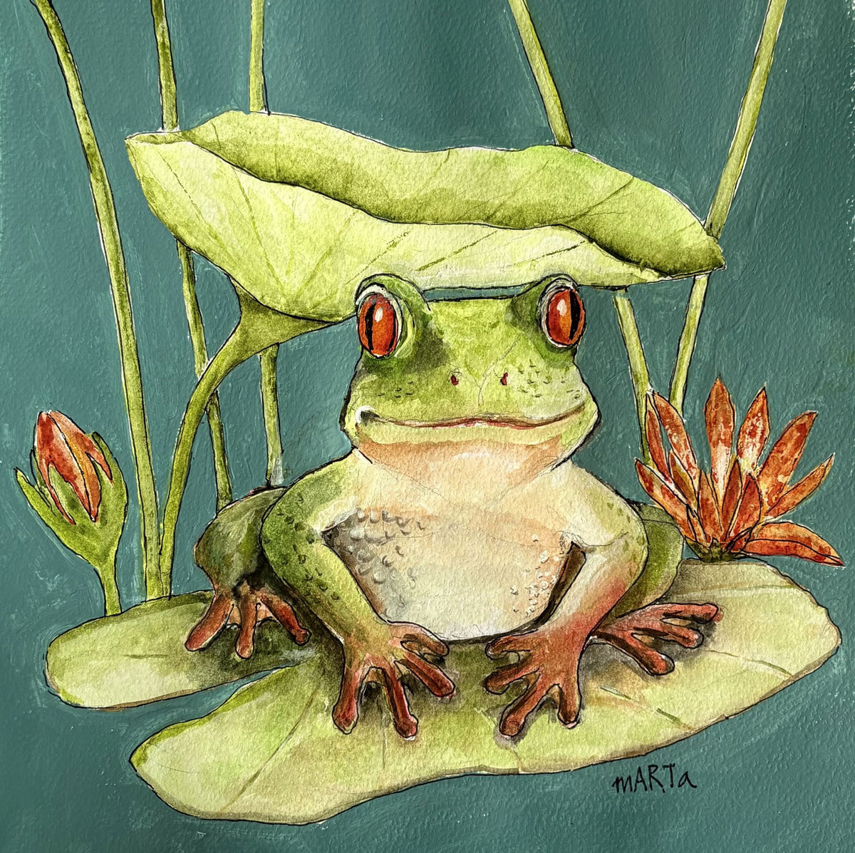 69164a62e1b8ea140711df10_mbj-564-happy-frog-original_1789125349271.jpg