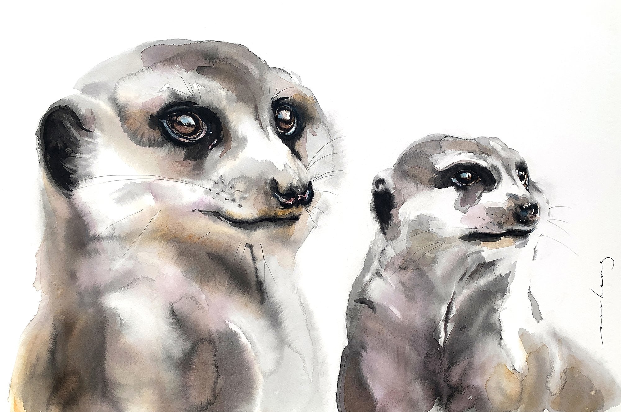 69164a62e1b8ea140711df10_meerkat-loyalty_1774050028273.jpg