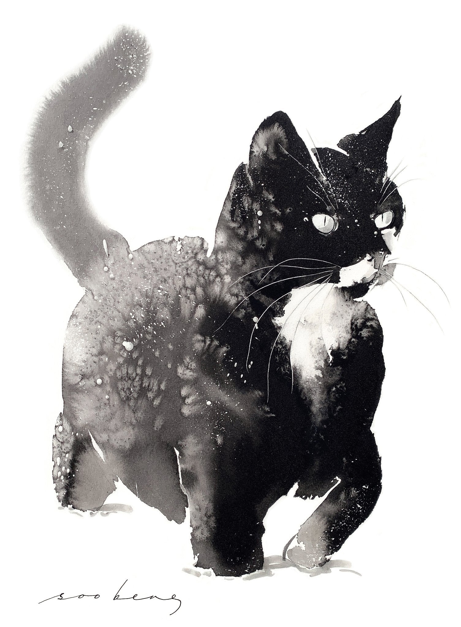 69164a62e1b8ea140711df10_meow-on-ice_1773174785528.jpg