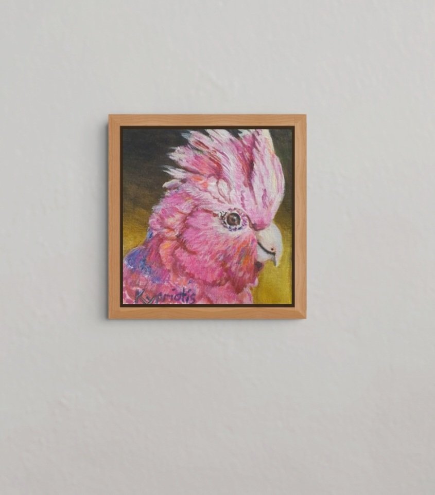 69164a62e1b8ea140711df10_mini-pink-galah-full_1788512520560.jpg