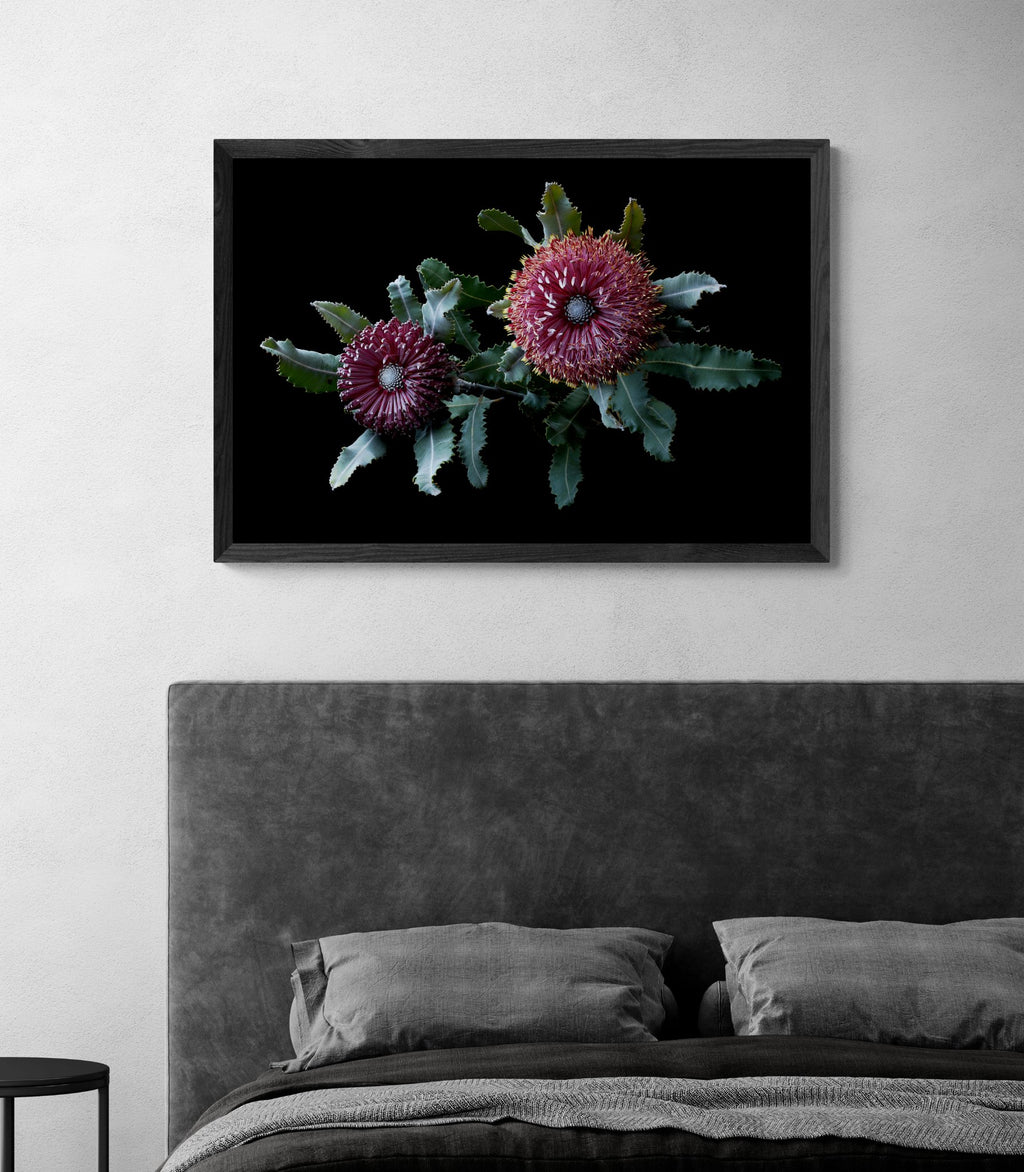 69164a62e1b8ea140711df10_minimalist-bedroom-10-_1785651024824.jpg