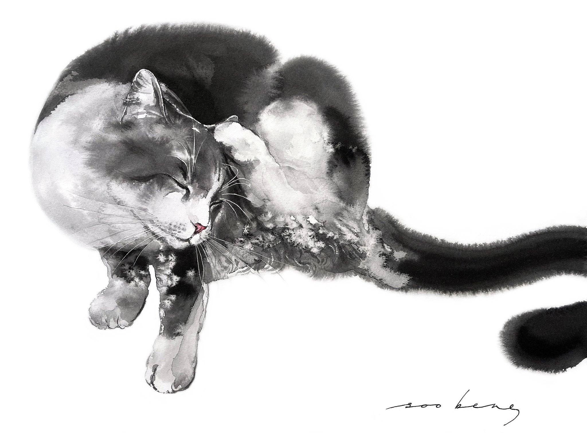 69164a62e1b8ea140711df10_moment-of-pawse_1773142307892.jpg