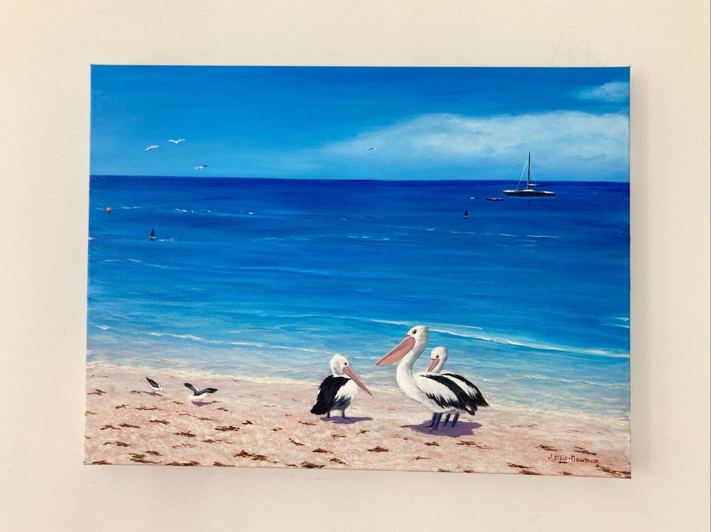 69164a62e1b8ea140711df10_monkey-mia-pelicans-hanging_1775031219282.jpg