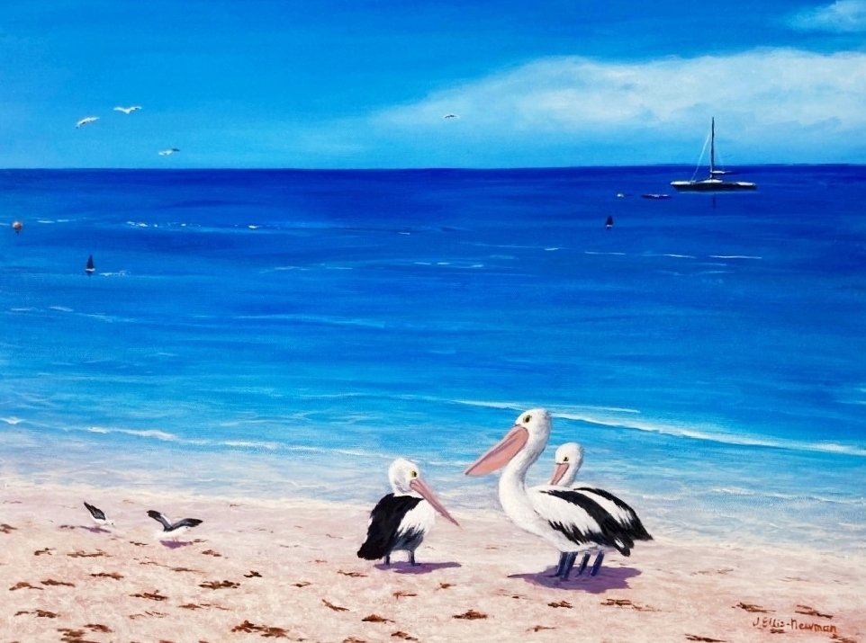 69164a62e1b8ea140711df10_monkey-mia-pelicans_1767339031159.jpg