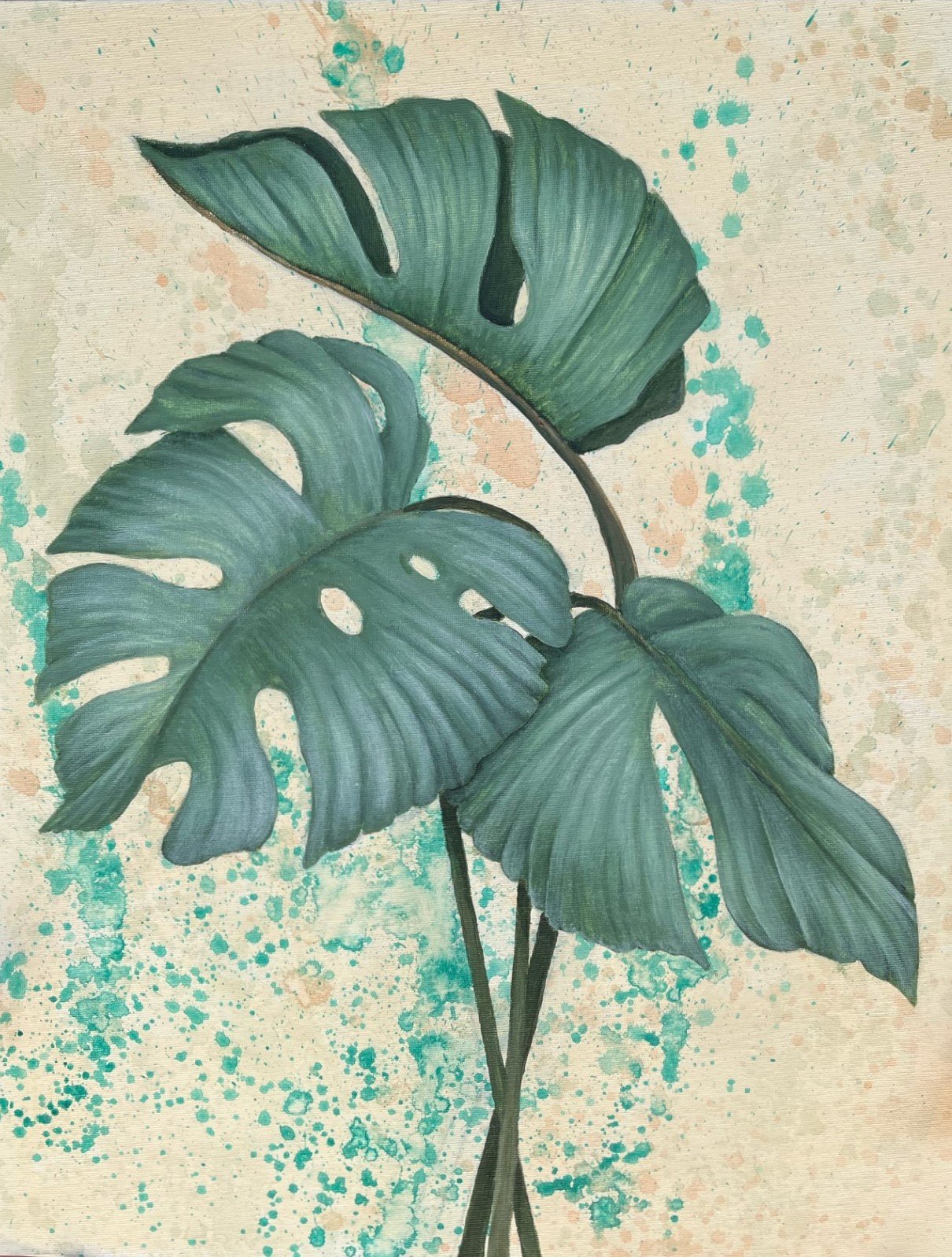 69164a62e1b8ea140711df10_monstera_1768911630913.jpg