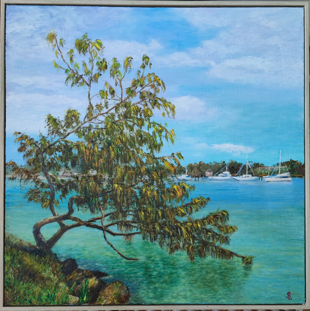 69164a62e1b8ea140711df10_mooloolahriver_1772328398516.jpg