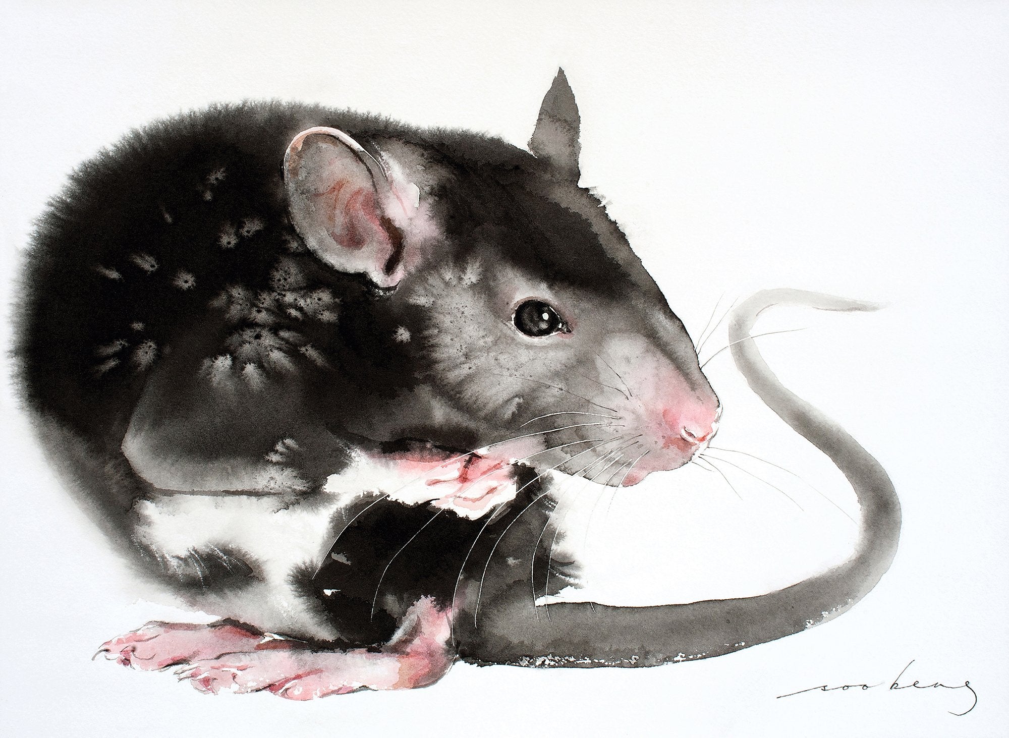 69164a62e1b8ea140711df10_mouse-instinct_1774934057269.jpg