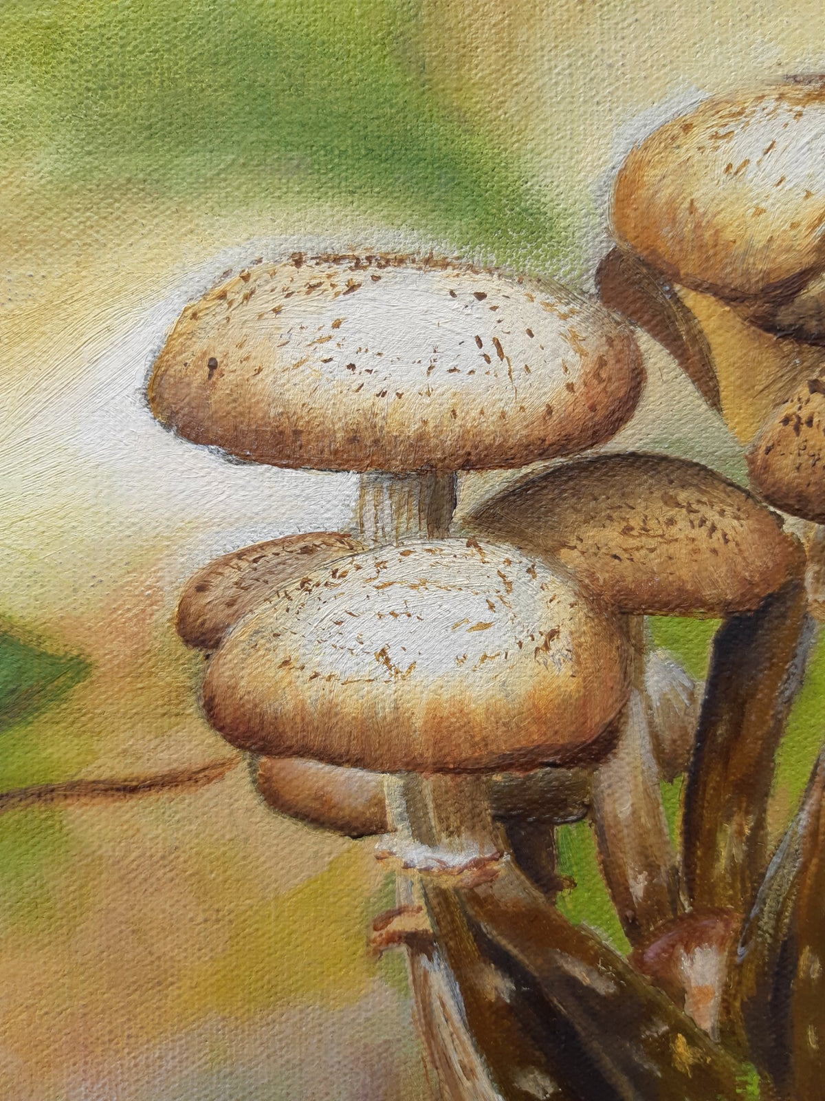69164a62e1b8ea140711df10_mushroom-magic-kerstin-freund-details_1792294287231.jpg