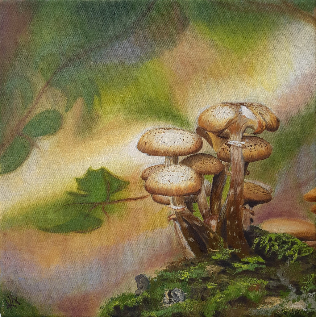69164a62e1b8ea140711df10_mushroom-magic-kerstin-freund_1792294287226.jpg