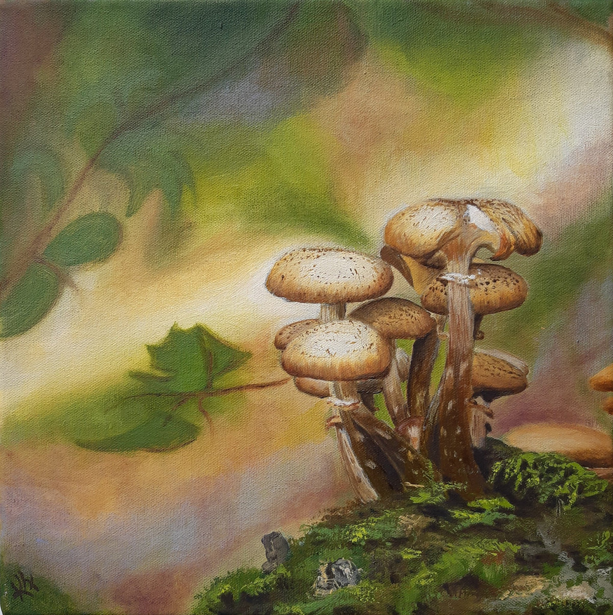 69164a62e1b8ea140711df10_mushroom-magic-kerstin-freund_1792294287226.jpg