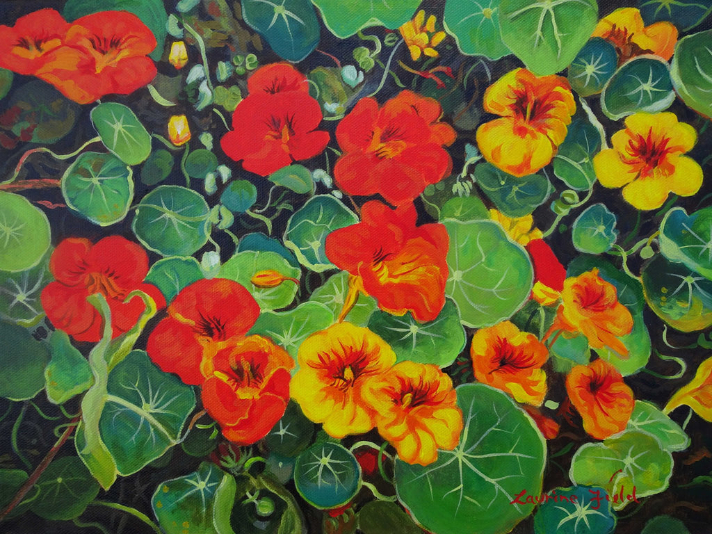 69164a62e1b8ea140711df10_nasturtiums-full-image-smaller_1792307709816.jpg