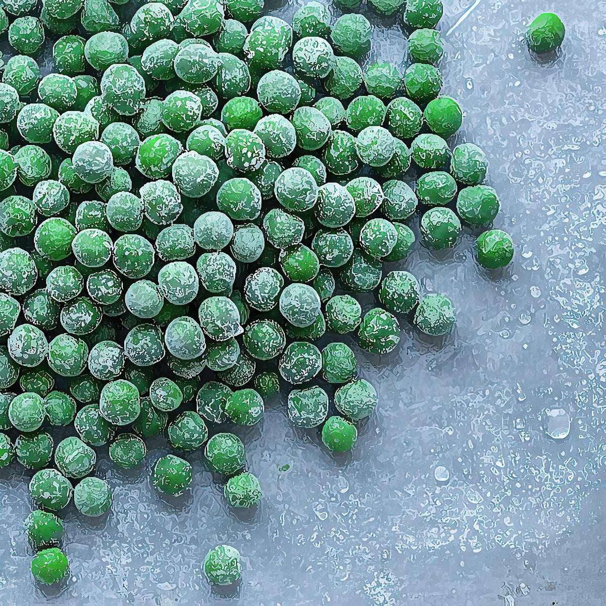 Frozen Peas – The Online Art Gallery