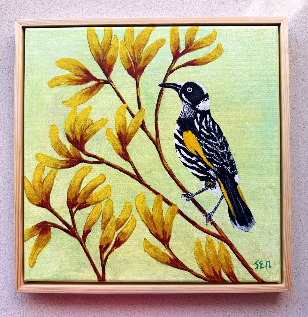 69164a62e1b8ea140711df10_new-holl-honeyeater-hanging_1780567746647.jpg