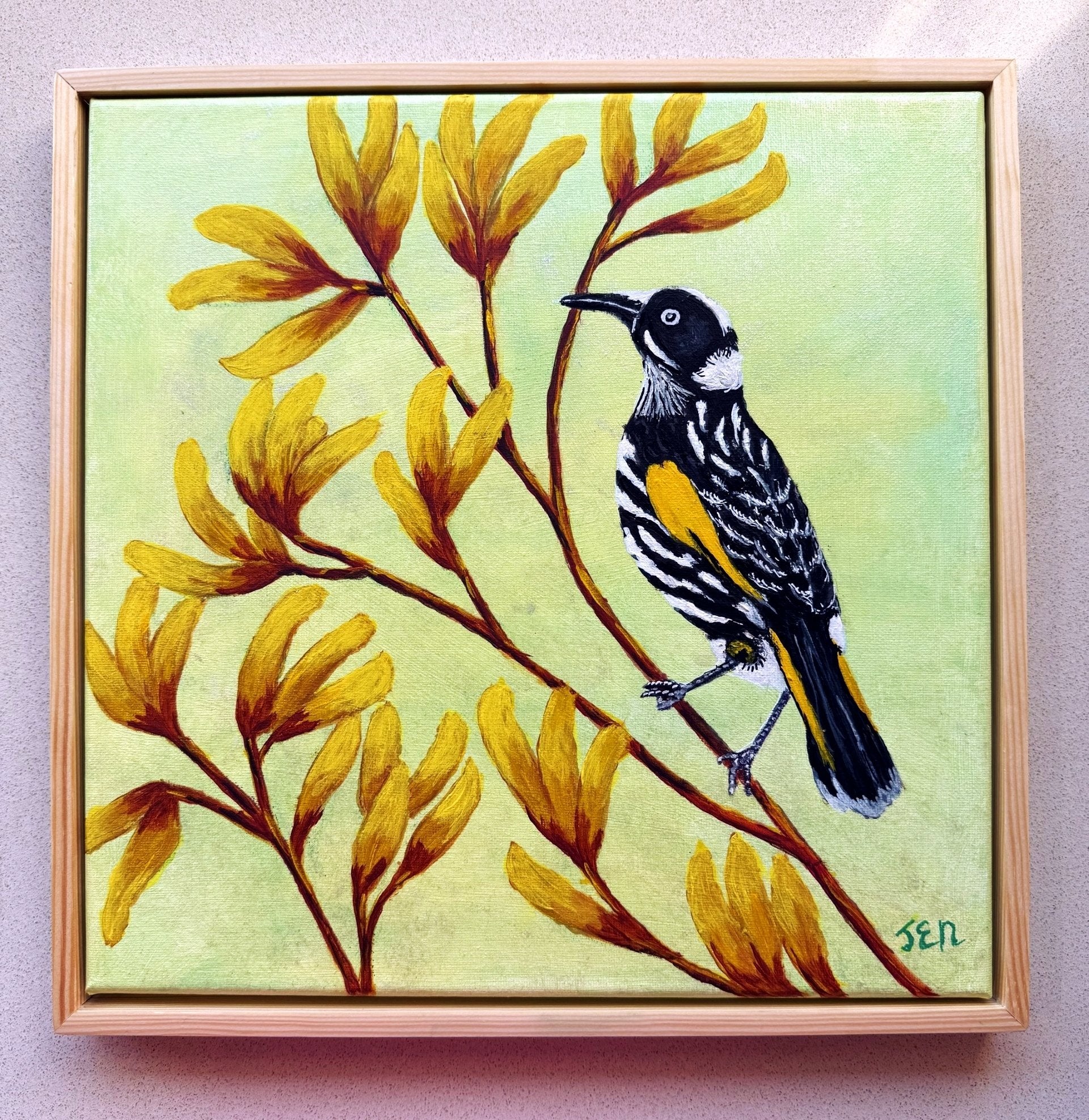 69164a62e1b8ea140711df10_new-holl-honeyeater-hanging_1780567746647.jpg
