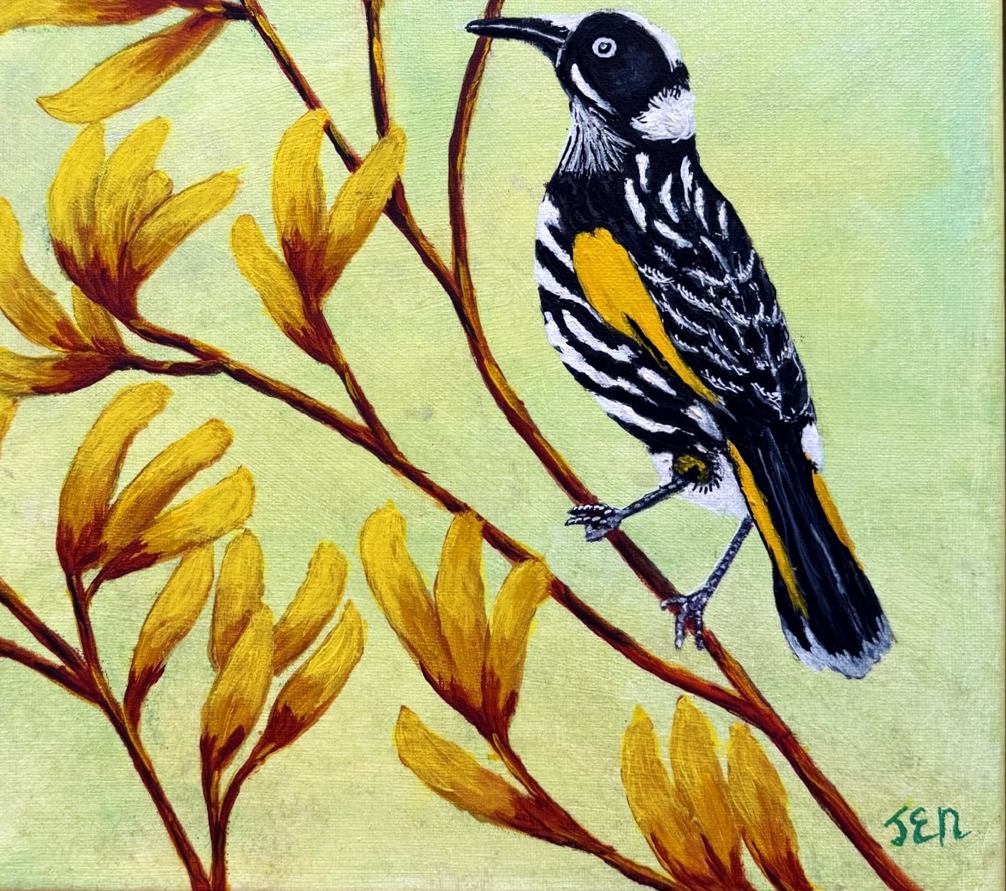 69164a62e1b8ea140711df10_new-holl-honeyeater-signature_1780567746647.jpg