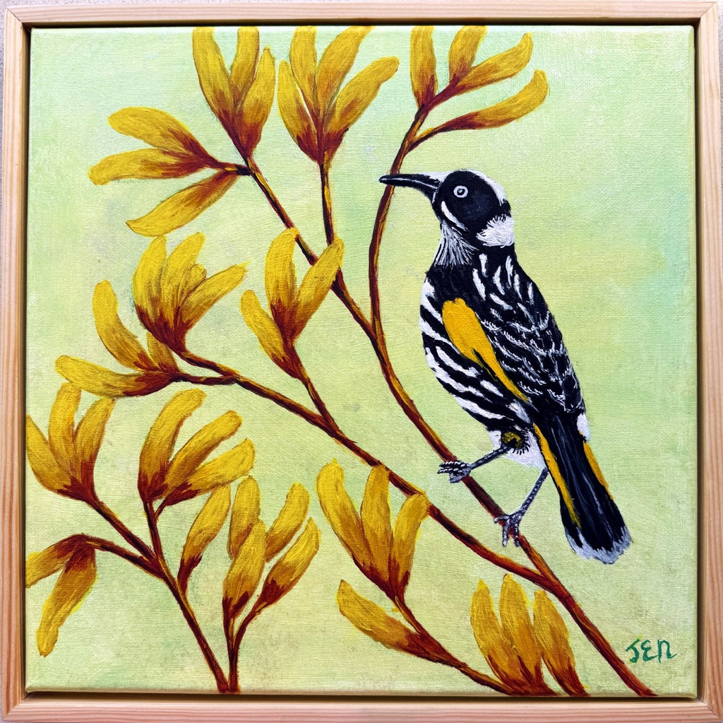 69164a62e1b8ea140711df10_new-holl-honeyeater1_1780567746647.jpg