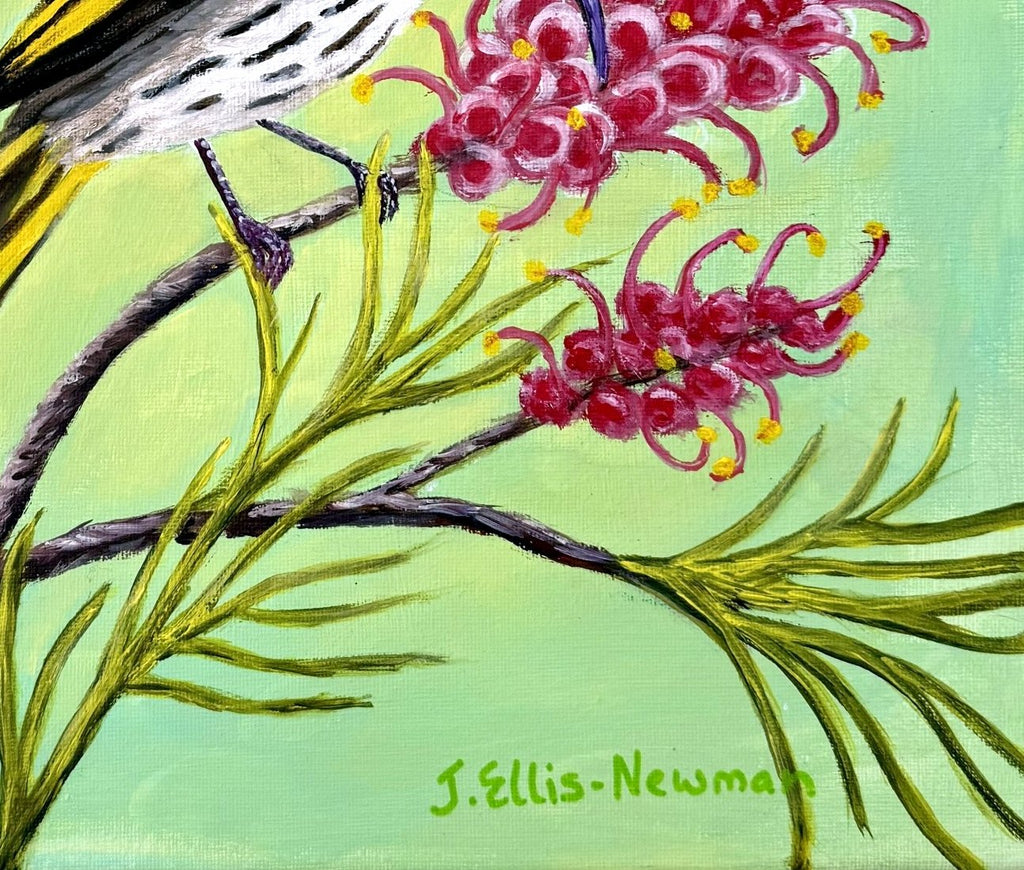 69164a62e1b8ea140711df10_new-holland-honeyeater-4-signature_1791797184593.jpg