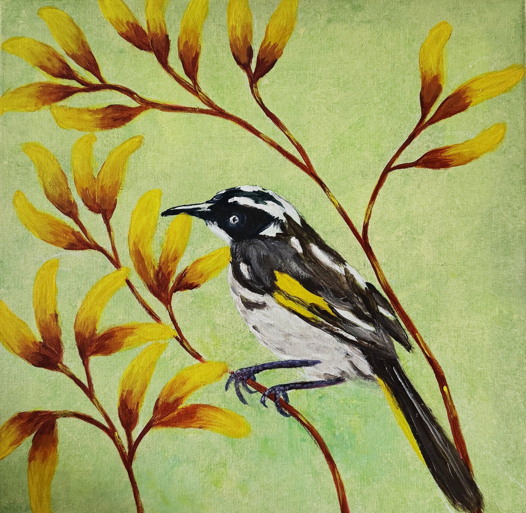 69164a62e1b8ea140711df10_new-holland-honeyeater-no.2-incomplete_1787910865047.jpg