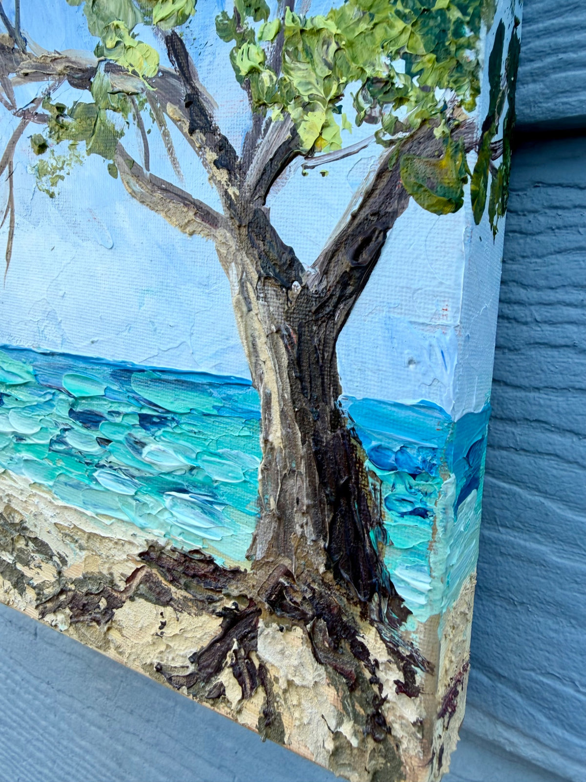 69164a62e1b8ea140711df10_no.5-heron-island-beech-tre23_1789521976120.jpeg