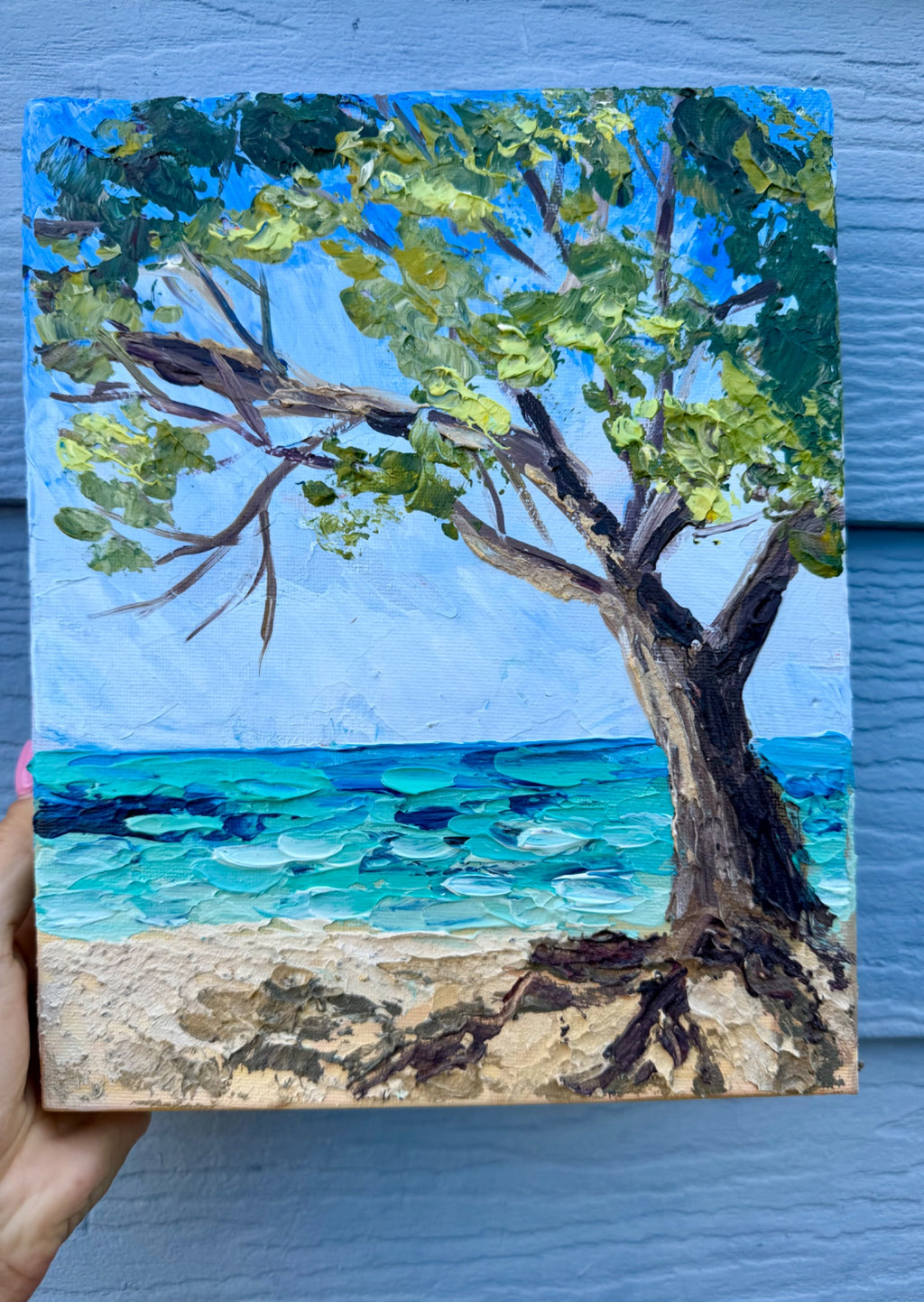 69164a62e1b8ea140711df10_no.5-heron-island-beech-tree-2_1789521976120.jpeg