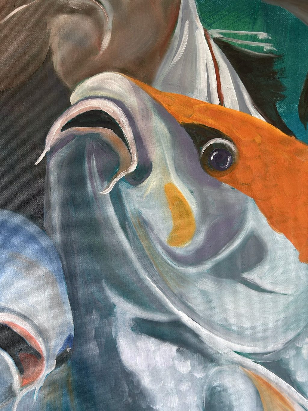69164a62e1b8ea140711df10_not-so-coy-koi-close-up-1_1778220635314.jpg
