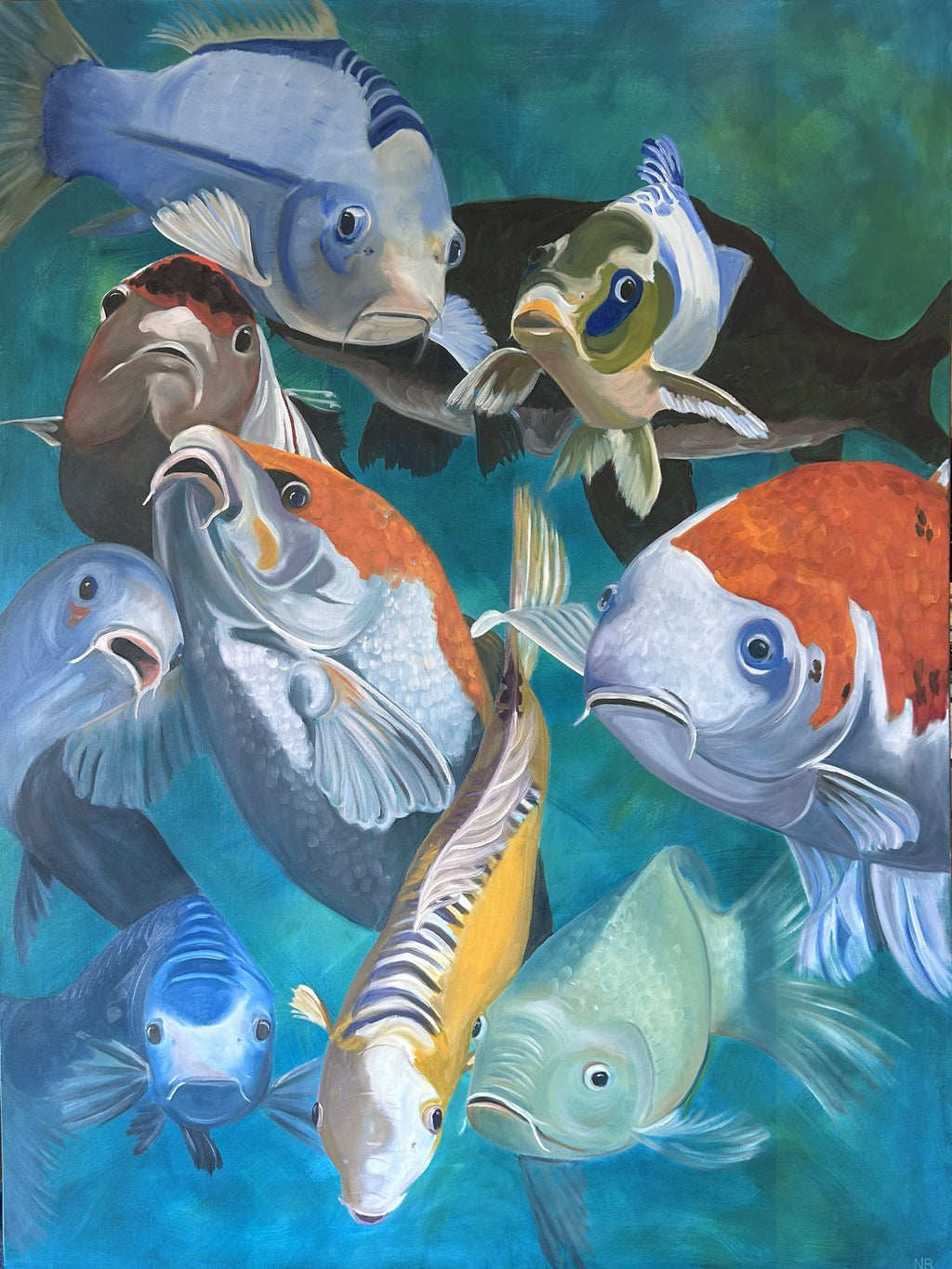69164a62e1b8ea140711df10_not-so-coy-koi_1778220590774.jpg