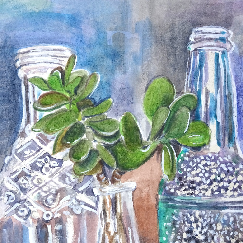 69164a62e1b8ea140711df10_old-bottles-detail-succulent_1766985551308.jpg