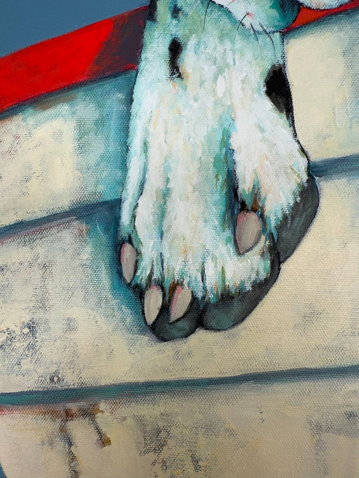 69164a62e1b8ea140711df10_old-sea-dog-1_1792567951862.jpg