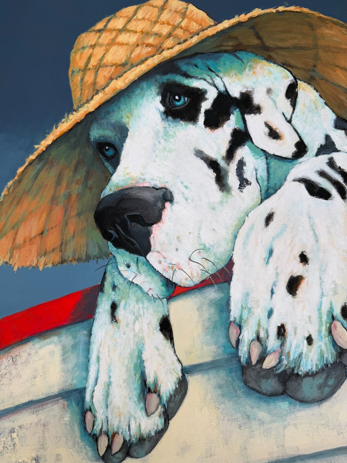 69164a62e1b8ea140711df10_old-sea-dog-4_1792568005867.jpeg