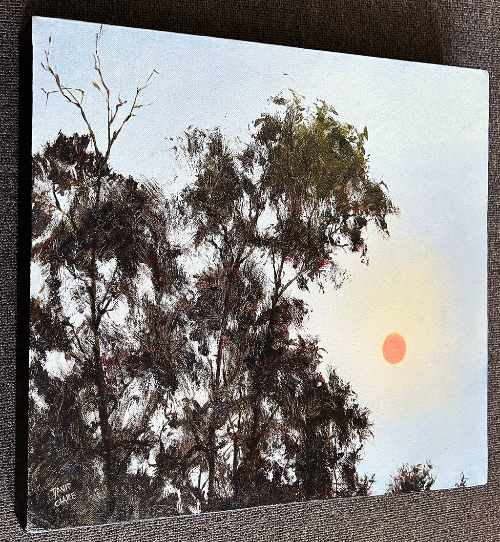 69164a62e1b8ea140711df10_orange-sun-new-ls-lr_1774147962626.jpg